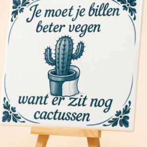 Tegel Cactussen klein