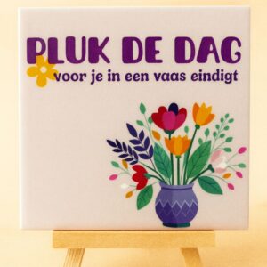 Tegeltje Pluk de dag