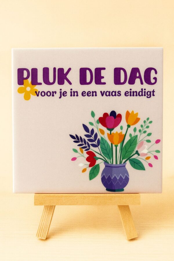 Tegeltje Pluk de dag